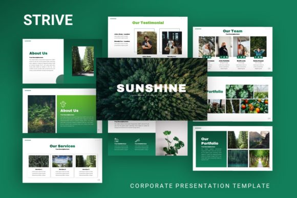 Sunshine Environment: A Template That Feels Like a Clear Day